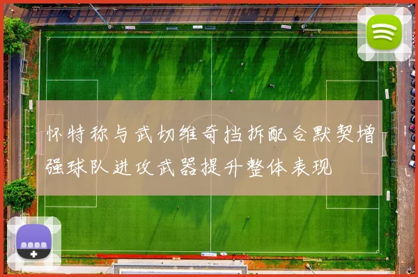 怀特称与武切维奇挡拆配合默契增强球队进攻武器提升整体表现